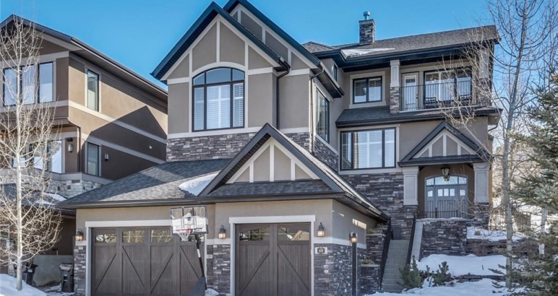 48 Spring Willow TC SW